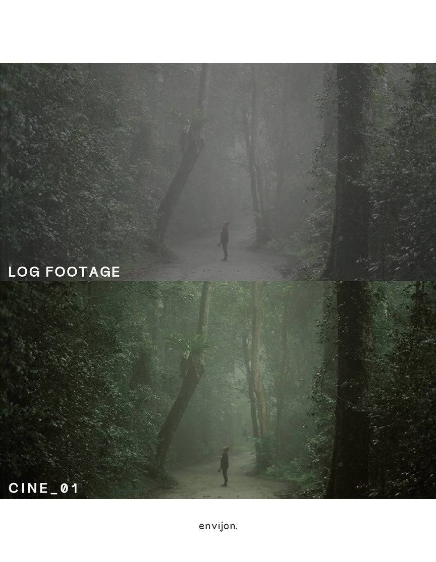 Envijon Cinematic Video LUTs