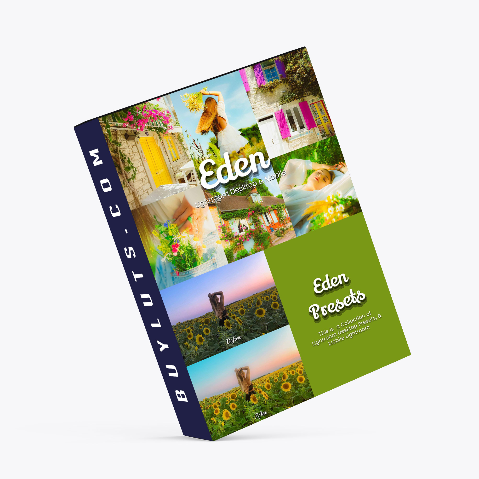 Example of Mastering Lightroom Presets in 2026